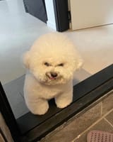 1703103936904418