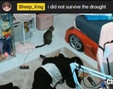 i did not survive1