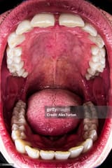 gettyimages-511600667-1024x1024