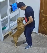 woof