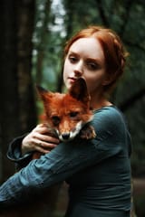 wintergingerfox