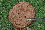 gettyimages-56659950-612x612