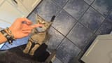 1748153351739952