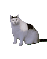 1752512976840810