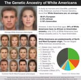 american is white americans are white