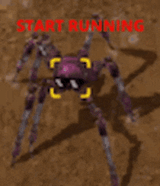 loop-spider