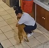 1732707109837036