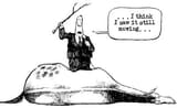 dead horse 