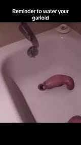 watergarloid