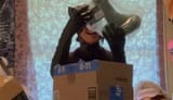 Screenshot_20250715_152814_YouTube