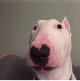 1781584720776