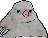 interrupted-bird-grey