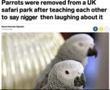 ParrotCrew