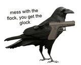 mess-with-the-flock-you-get-the-glock-crow