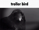 troller-bird-troll