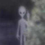 1724377387905782