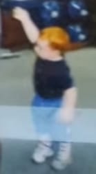 1738116336300368