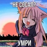 983766bc739013b0217820d2e5086e77