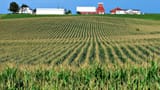 GTY_Iowa_Cornfield_MEM_161006_16x9_1600