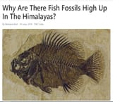 fossils-on-mountains-