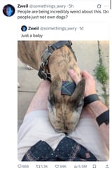 Thread 22954308 OP Image