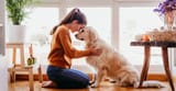 Family_Dog