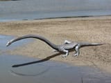 Tanystropheus_NT_small