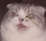 1752928970342