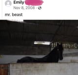 1738024215886929