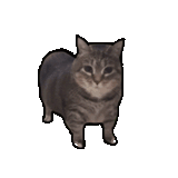 1733424792349106