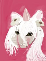 sketch1752952475620