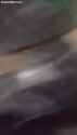 fat nigger shot in the face shooting_thumb.jpg