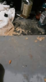 1752976022619559