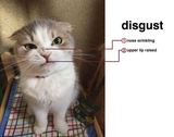 Thread 22962549 OP Image
