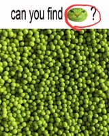 1742983743200027