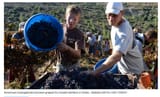 american christians laboring for israeli jews
