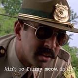 ain_t so funny meow