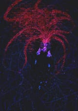 1725059620832080