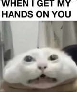 1746780042019024