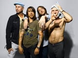 greenday