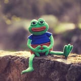 Thread 22969251 OP Image
