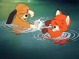 pp_thefoxandthehound_herobanner_mobile_19897_2867b494