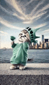cat-statue-of-liberty-dance