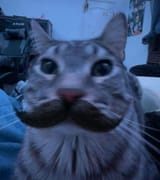 Thread 22973499 OP Image