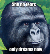 notears