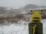 irl fuzzy pikachu toy in snow