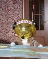 ooboc
