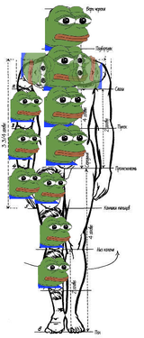 Thread 22978499 OP Image