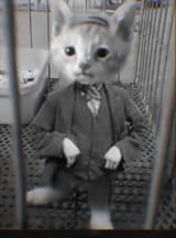 Thread image