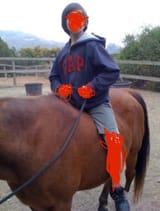hans
